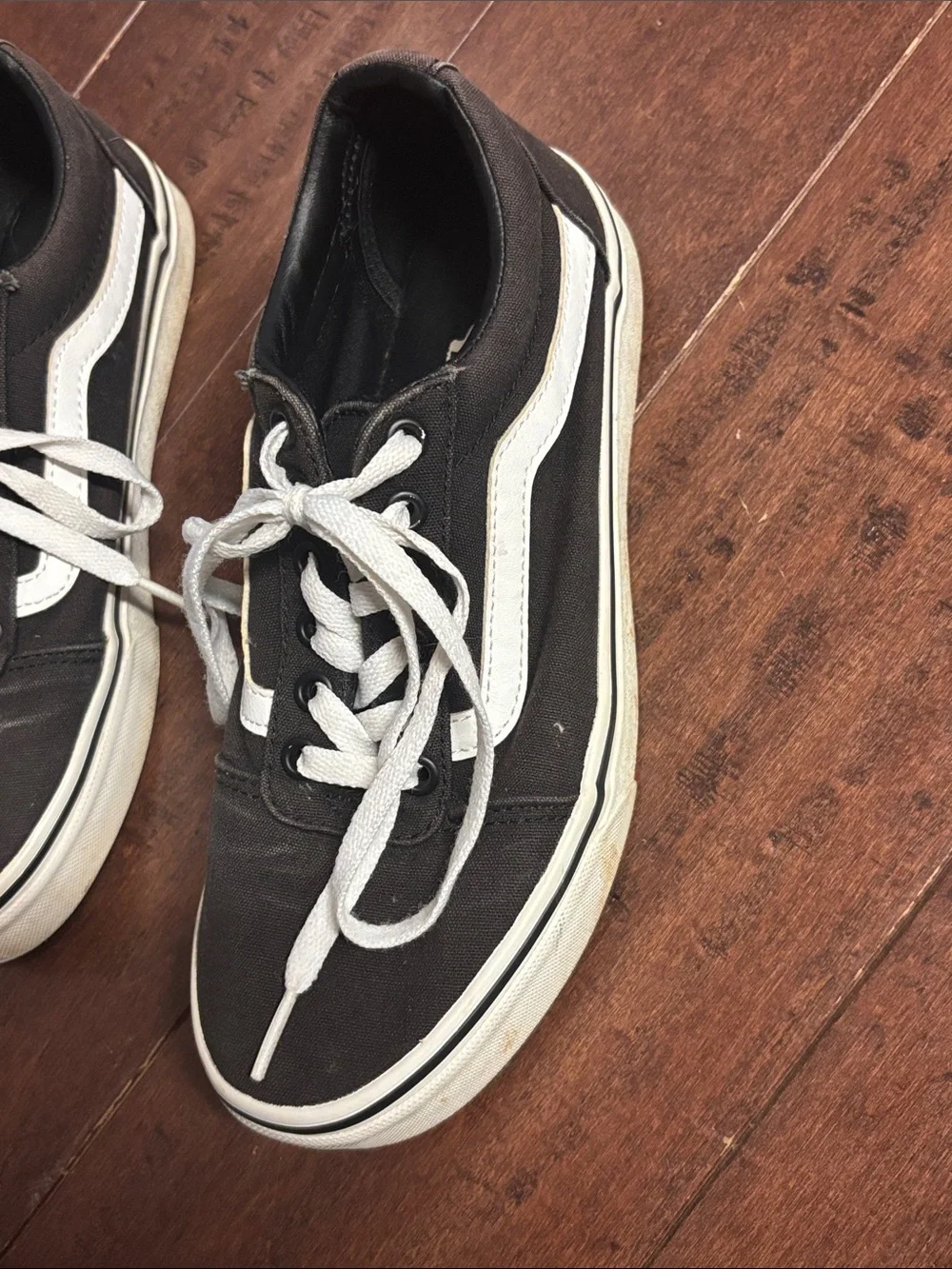 Vans brown Low-Top